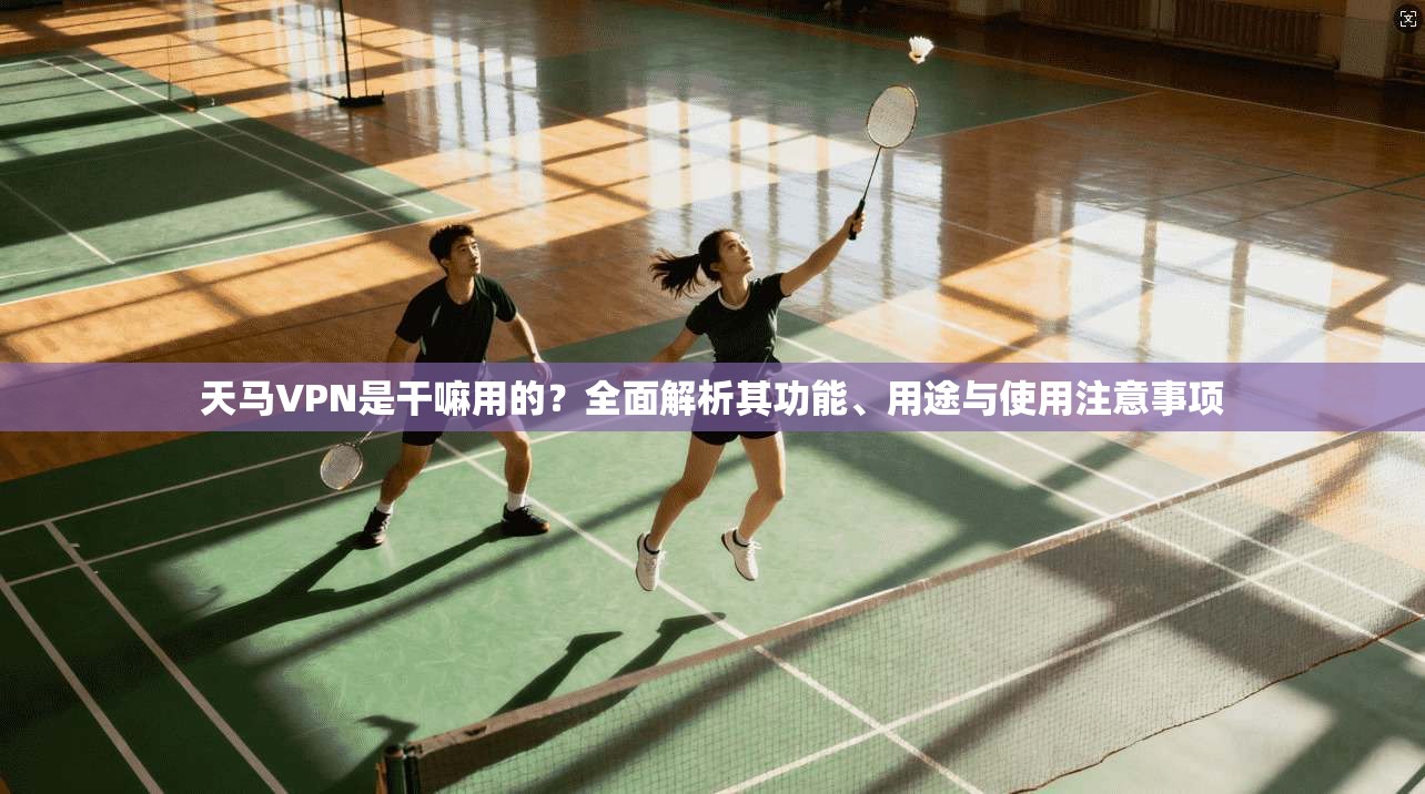 天马VPN是干嘛用的？全面解析其功能、用途与使用注意事项