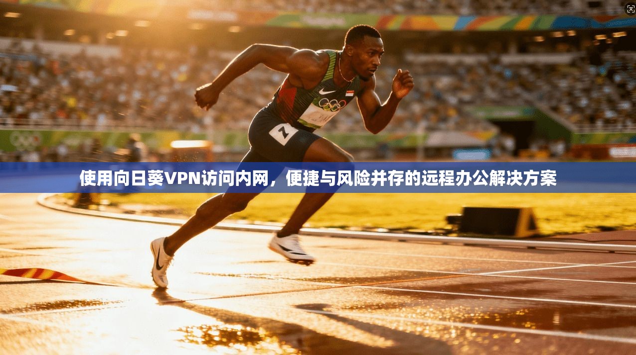 使用向日葵VPN访问内网，便捷与风险并存的远程办公解决方案