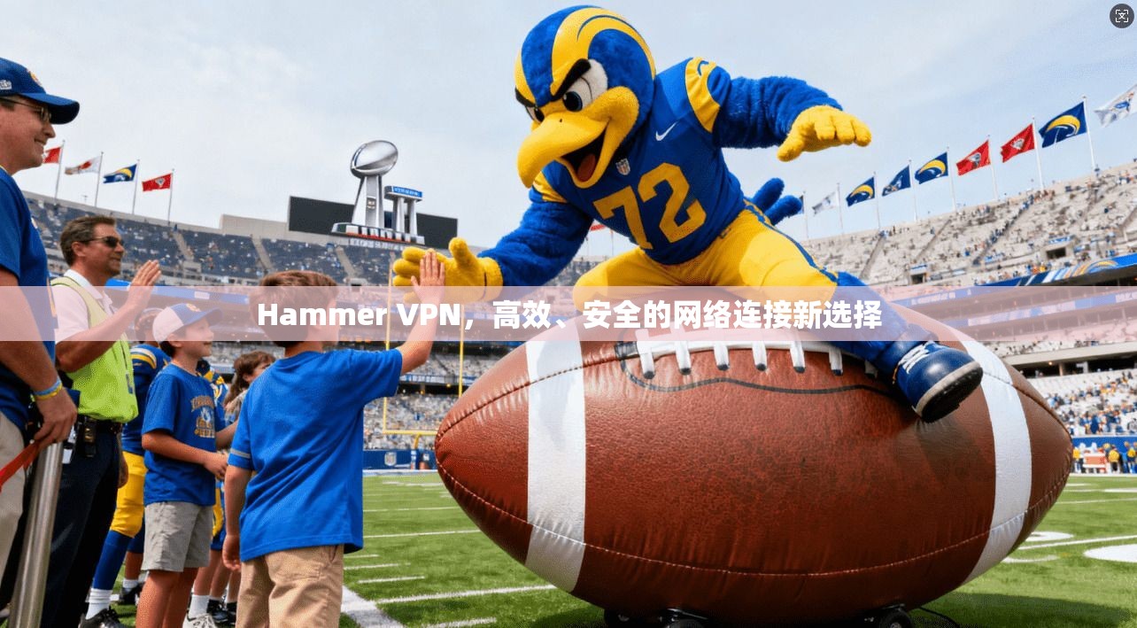 Hammer VPN，高效、安全的网络连接新选择