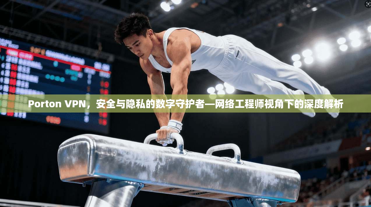 Porton VPN，安全与隐私的数字守护者—网络工程师视角下的深度解析