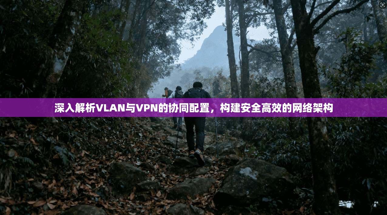 深入解析VLAN与VPN的协同配置，构建安全高效的网络架构