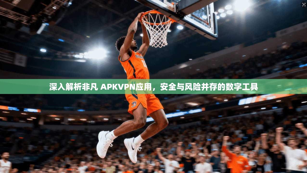 深入解析非凡 APKVPN应用，安全与风险并存的数字工具