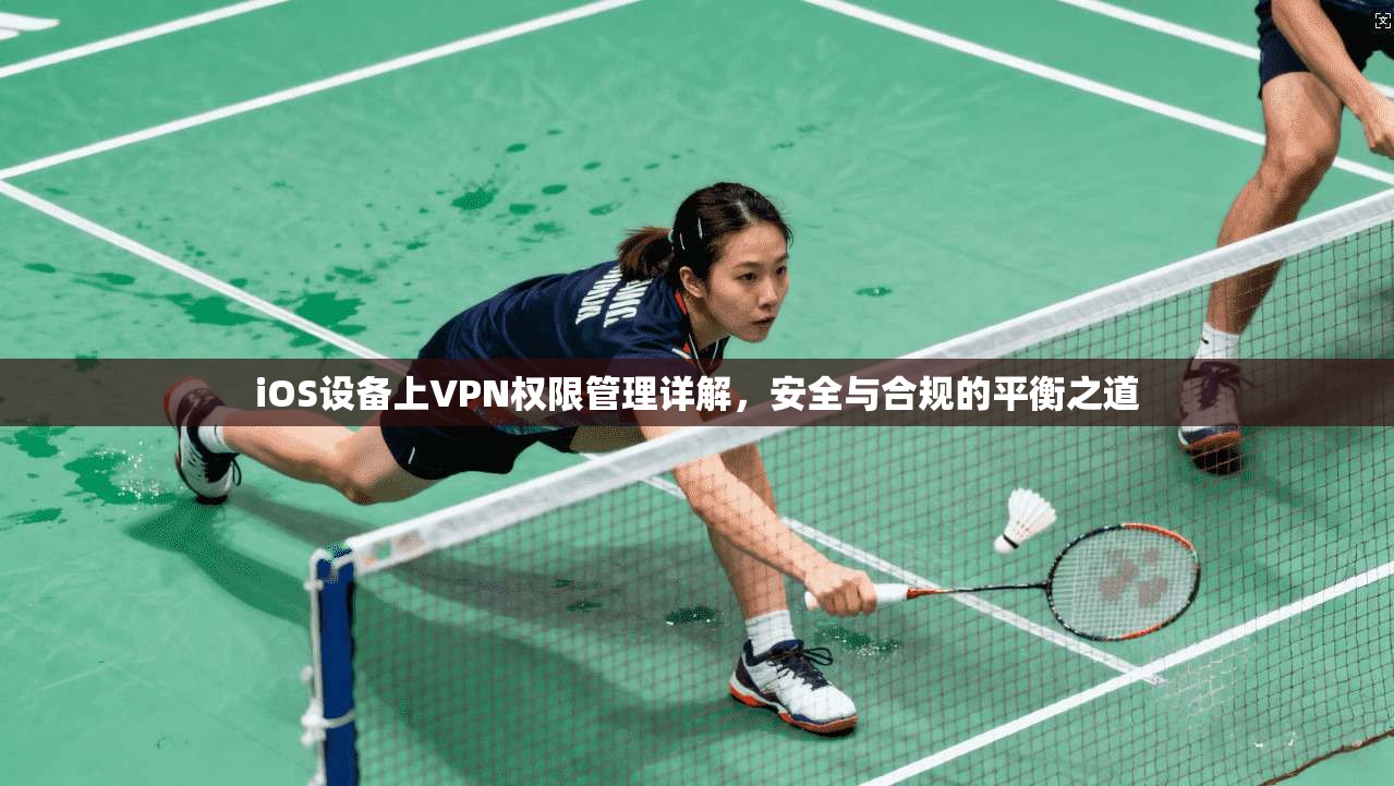 iOS设备上VPN权限管理详解，安全与合规的平衡之道