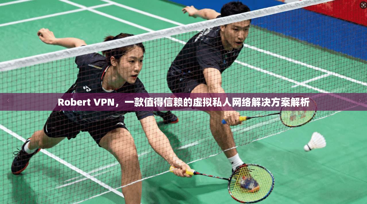 Robert VPN，一款值得信赖的虚拟私人网络解决方案解析