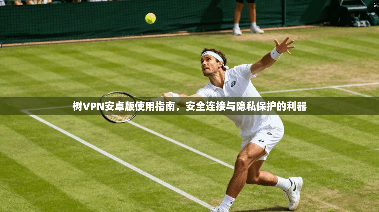 树VPN安卓版使用指南，安全连接与隐私保护的利器