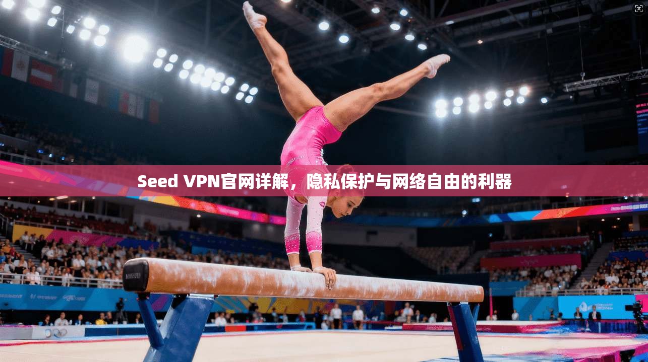 Seed VPN官网详解，隐私保护与网络自由的利器