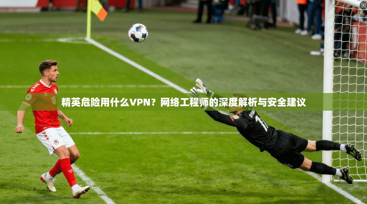 精英危险用什么VPN？网络工程师的深度解析与安全建议