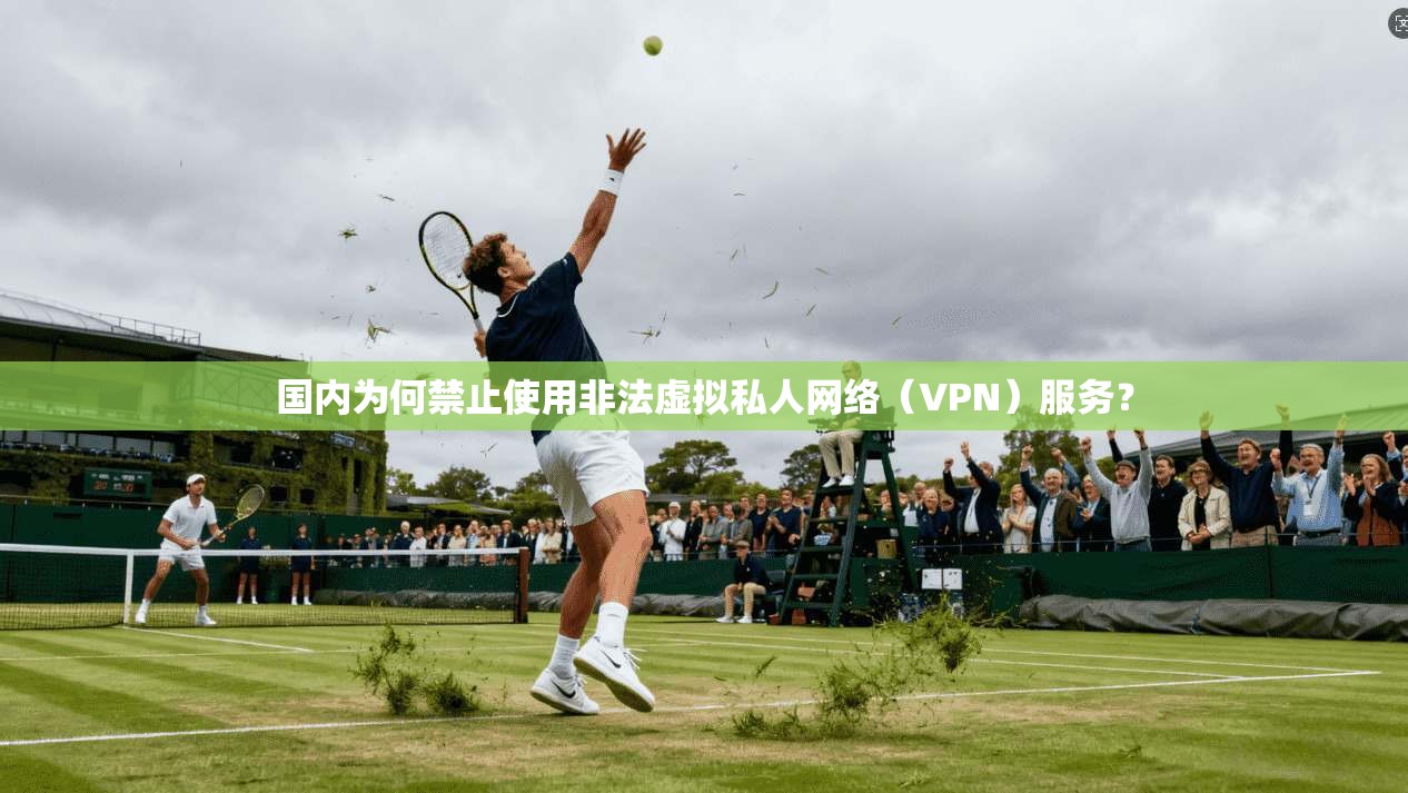 国内为何禁止使用非法虚拟私人网络（VPN）服务？