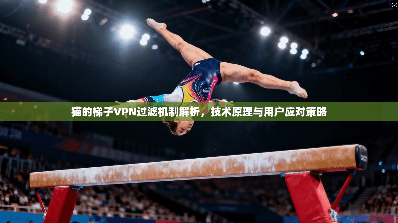 猫的梯子VPN过滤机制解析，技术原理与用户应对策略