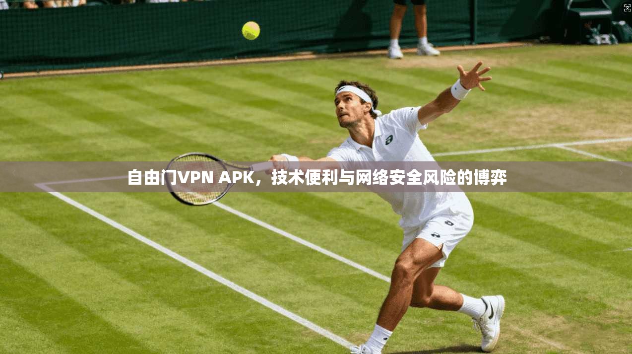 自由门VPN APK，技术便利与网络安全风险的博弈