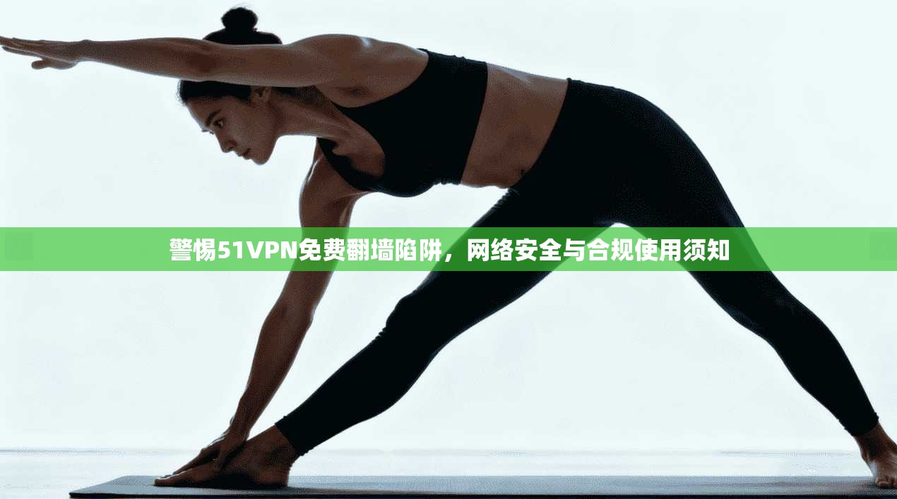 警惕51VPN免费翻墙陷阱，网络安全与合规使用须知