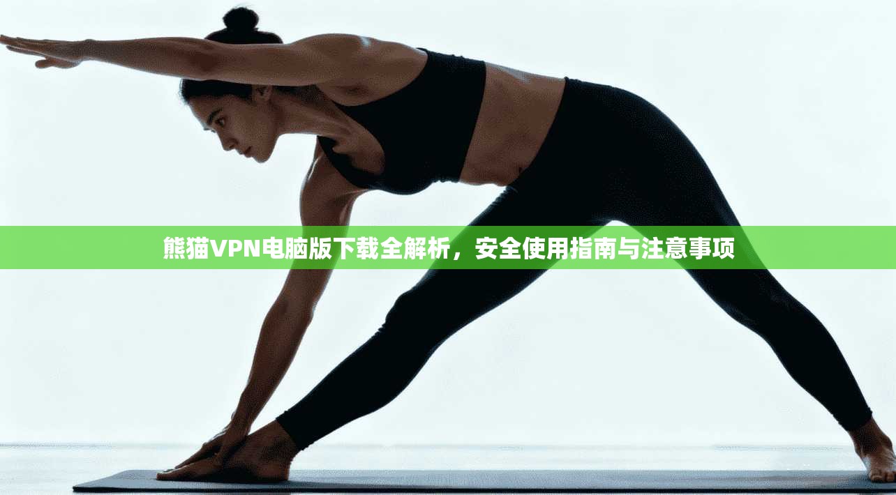 熊猫VPN电脑版下载全解析,安全使用指南与注意事项 熊猫VPN电脑版下载全解析,安全使用指南与注意事项