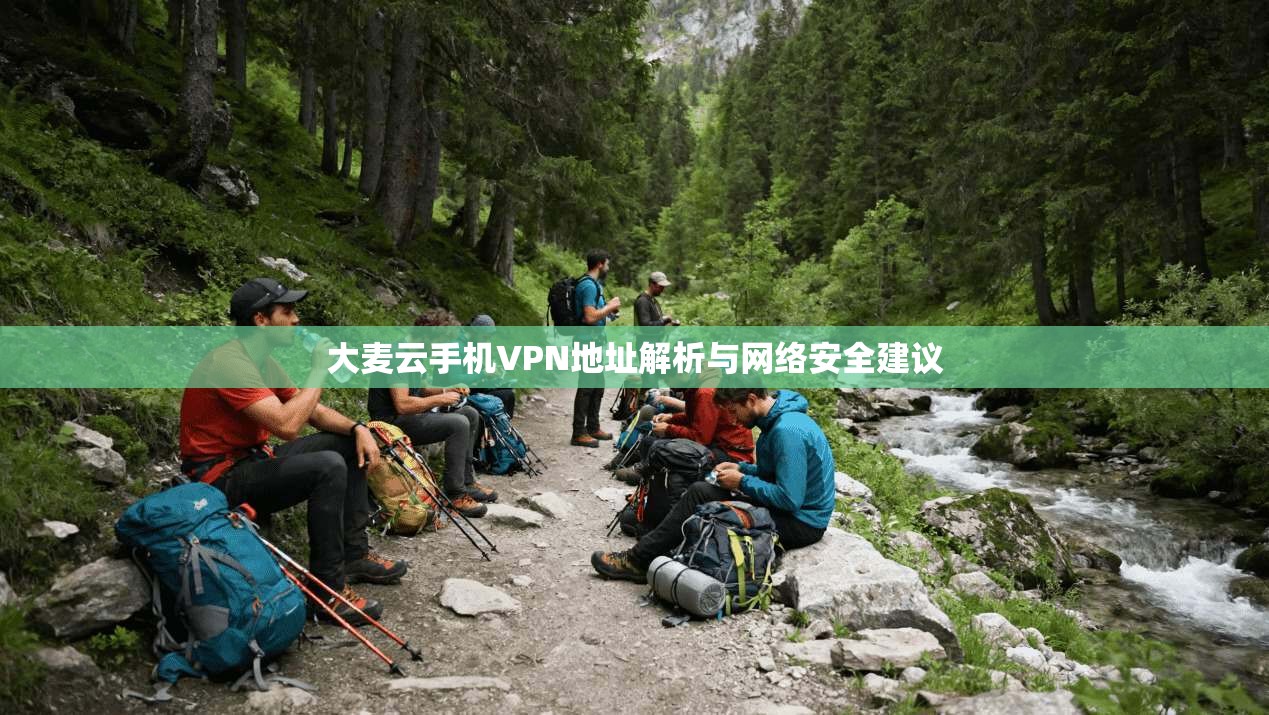 大麦云手机VPN地址解析与网络安全建议