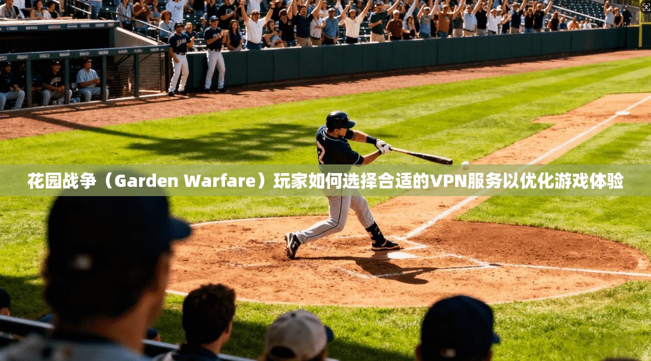 花园战争（Garden Warfare）玩家如何选择合适的VPN服务以优化游戏体验