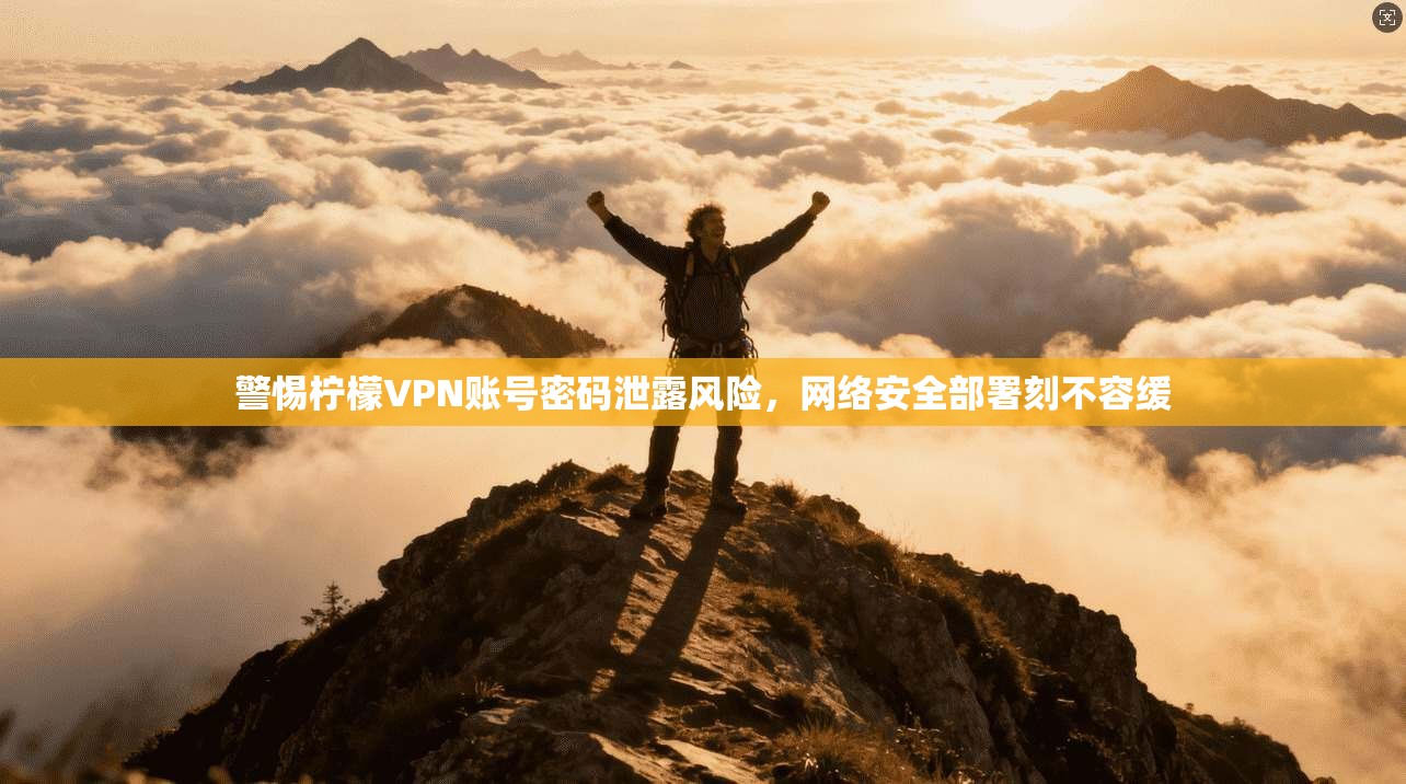 警惕柠檬VPN账号密码泄露风险，网络安全部署刻不容缓