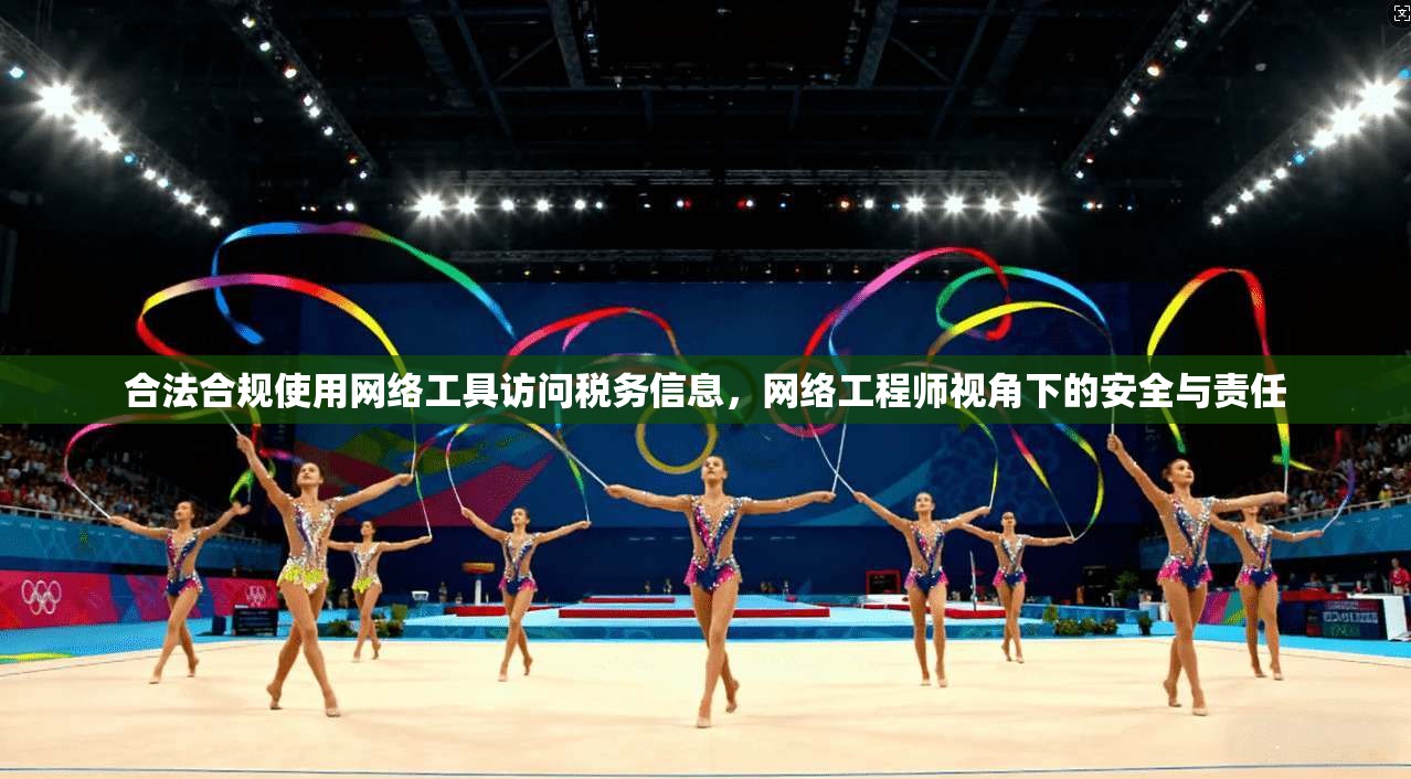 合法合规使用网络工具访问税务信息，网络工程师视角下的安全与责任