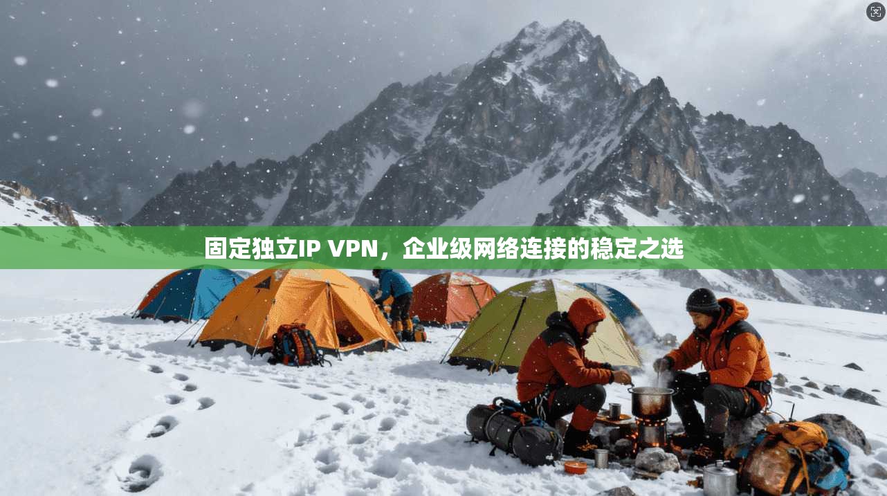 固定独立IP VPN，企业级网络连接的稳定之选