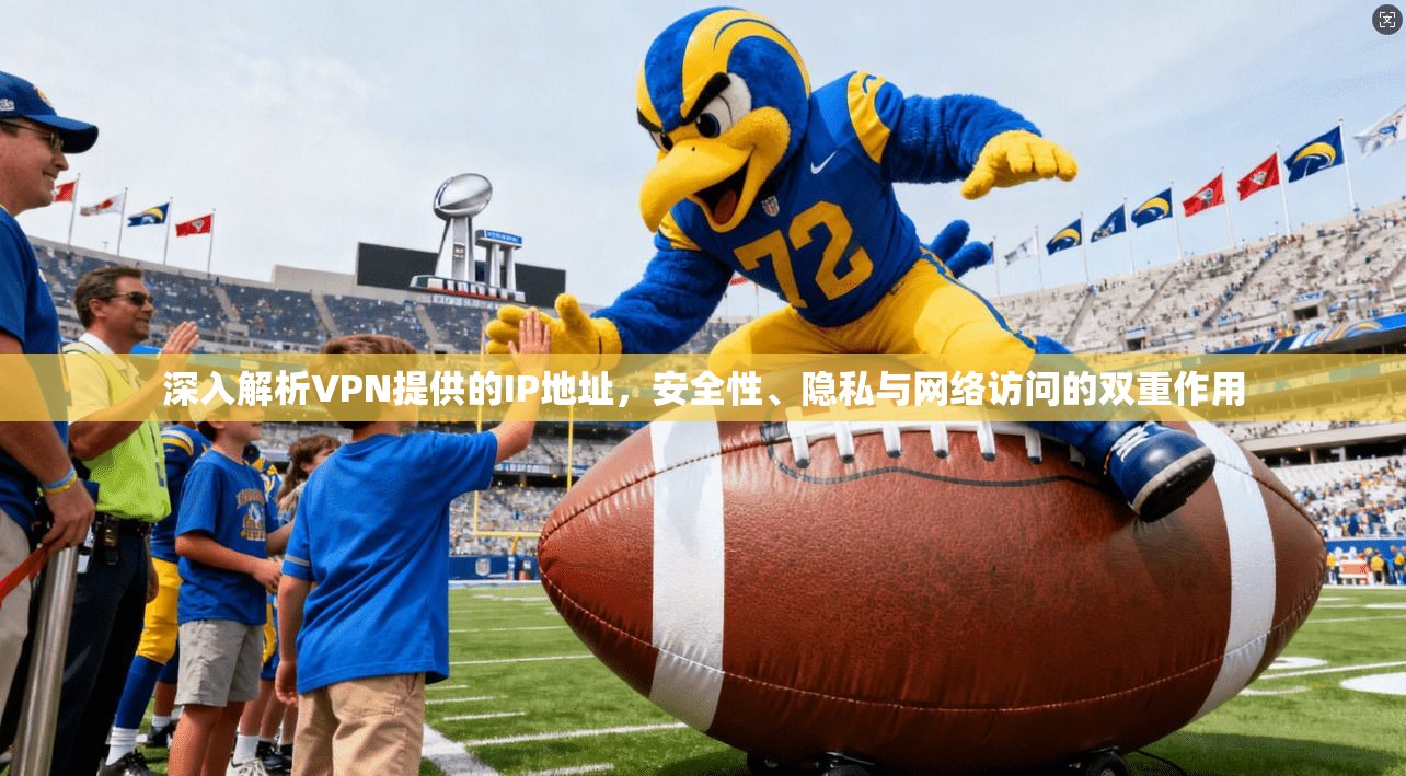 深入解析VPN提供的IP地址，安全性、隐私与网络访问的双重作用