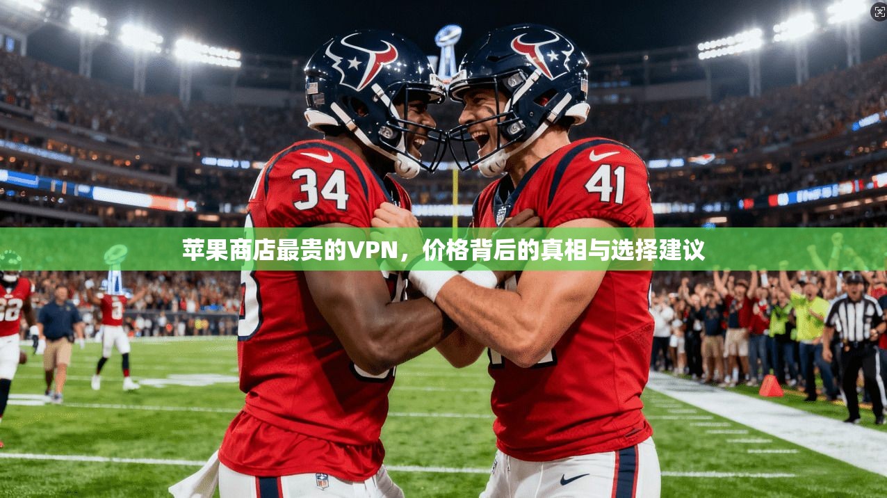 苹果商店最贵的VPN，价格背后的真相与选择建议