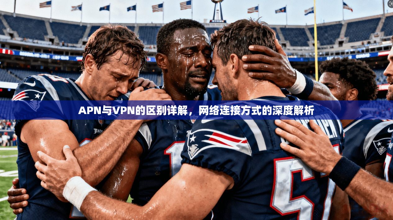APN与VPN的区别详解,网络连接方式的深度解析 APN与VPN的区别详解,网络连接方式的深度解析
