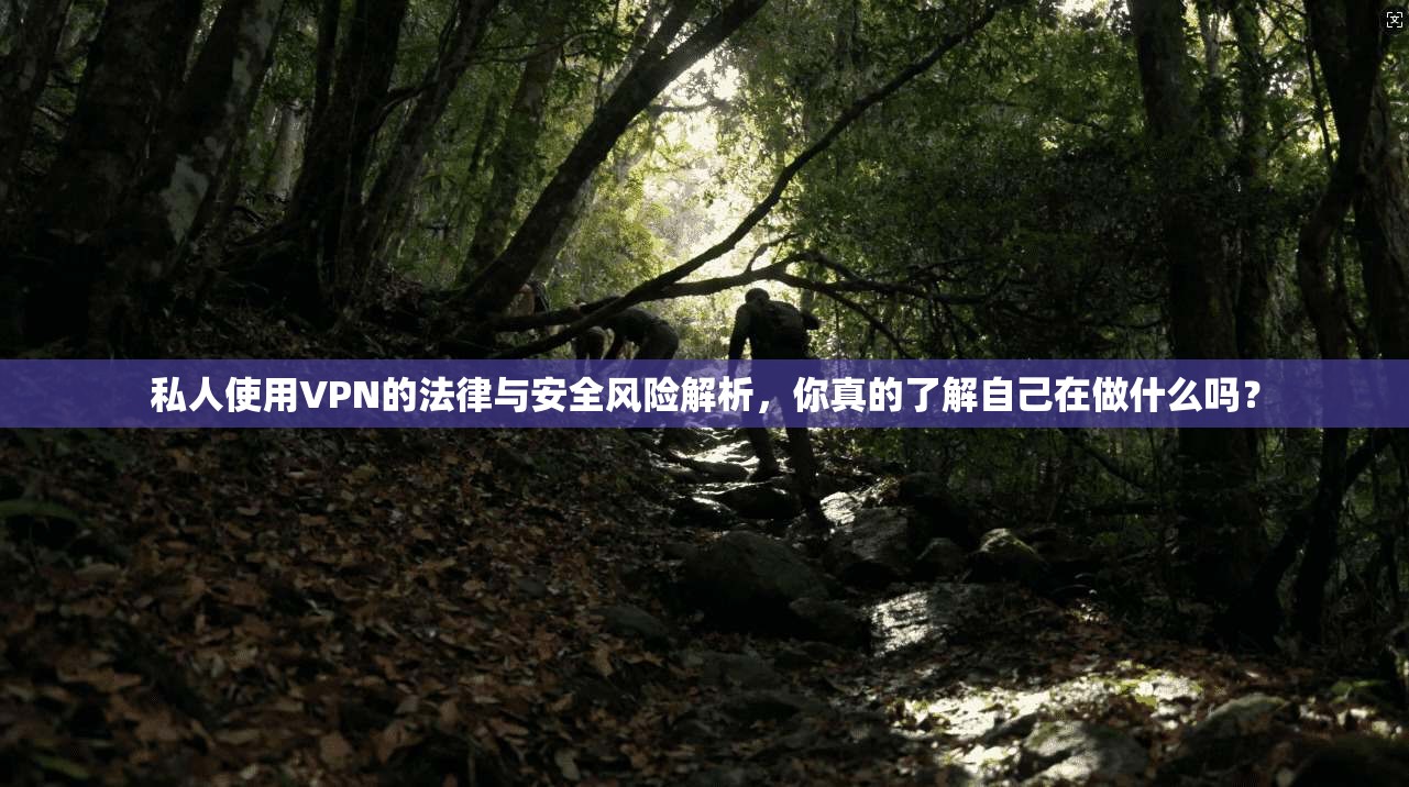 私人使用VPN的法律与安全风险解析，你真的了解自己在做什么吗？