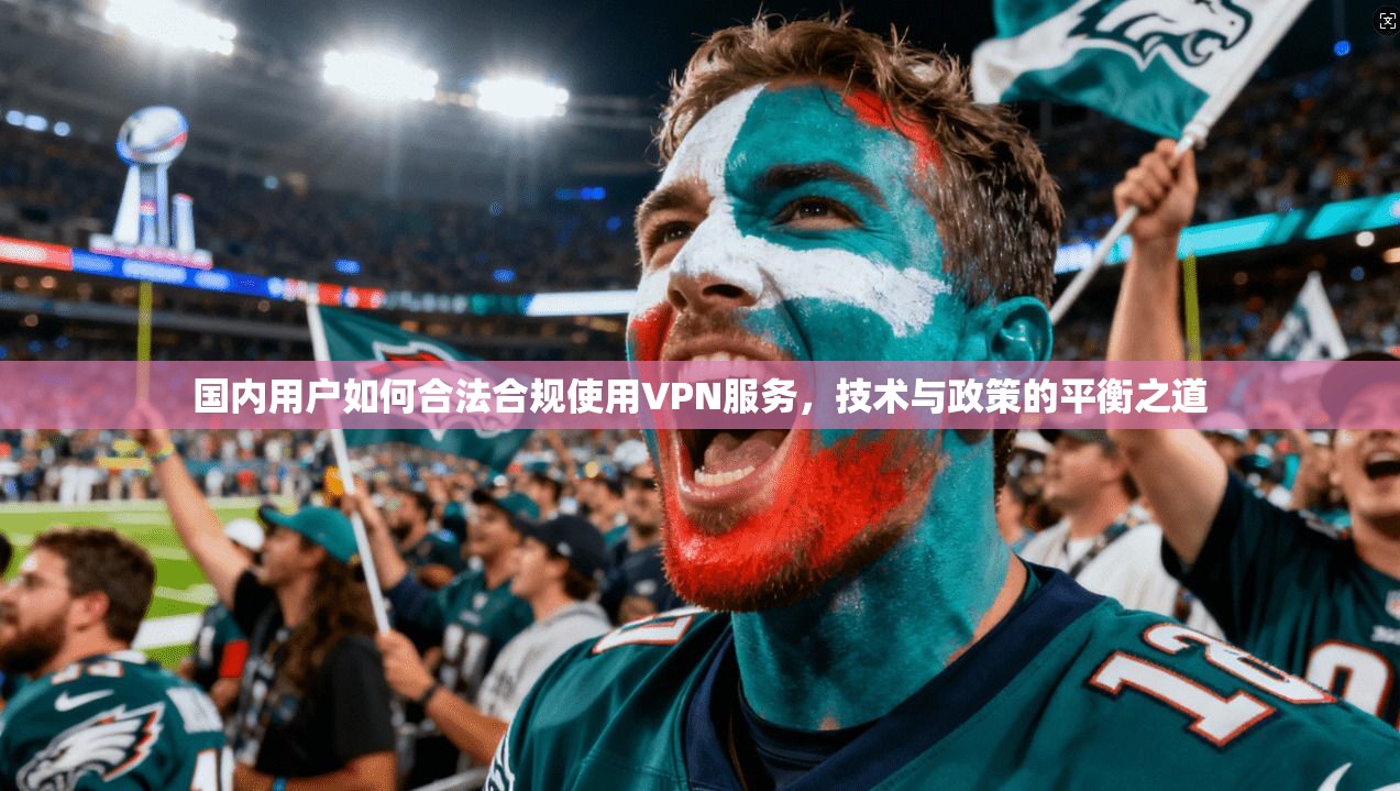 国内用户如何合法合规使用VPN服务，技术与政策的平衡之道