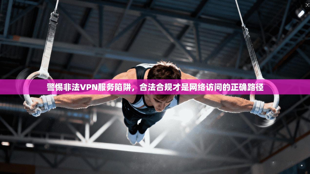 警惕非法VPN服务陷阱，合法合规才是网络访问的正确路径