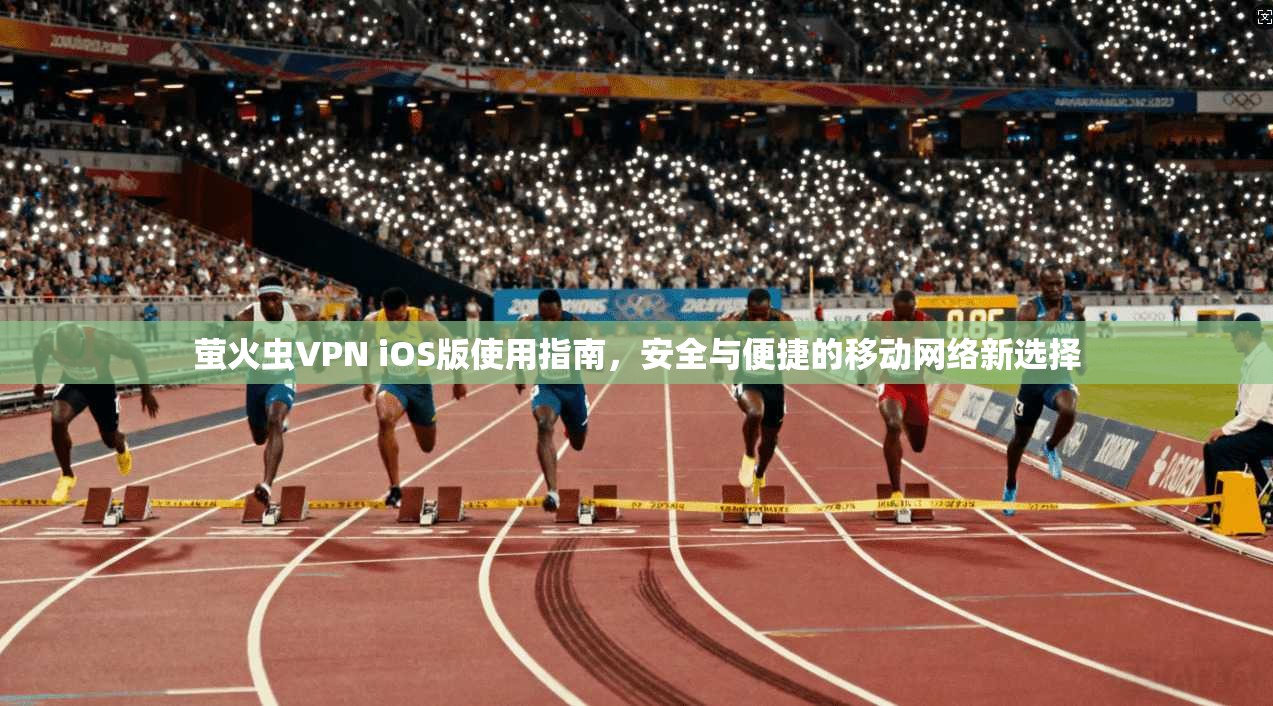 萤火虫VPN iOS版使用指南，安全与便捷的移动网络新选择
