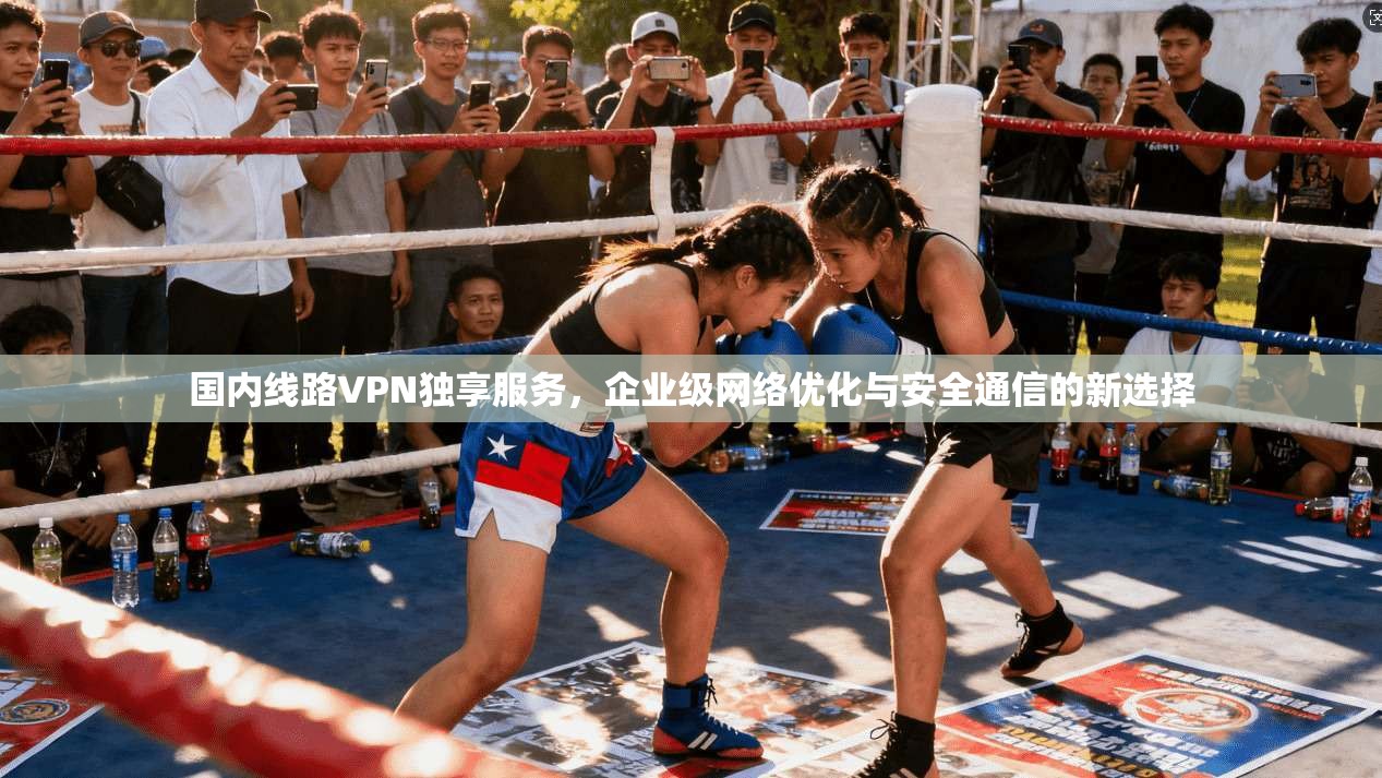 国内线路VPN独享服务，企业级网络优化与安全通信的新选择