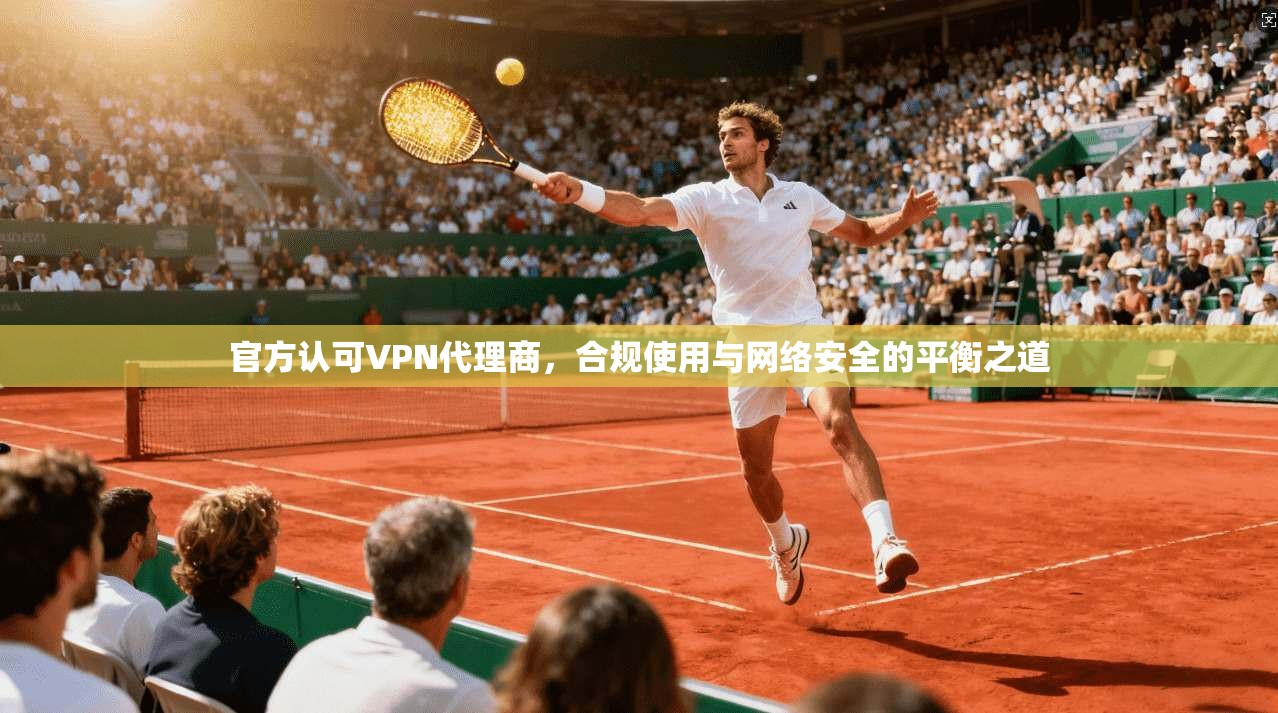 官方认可VPN代理商，合规使用与网络安全的平衡之道