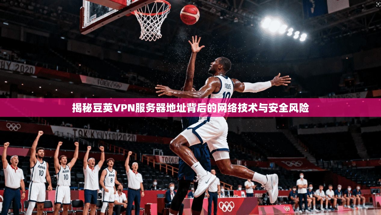 揭秘豆荚VPN服务器地址背后的网络技术与安全风险