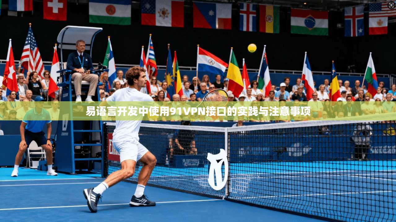 易语言开发中使用91VPN接口的实践与注意事项