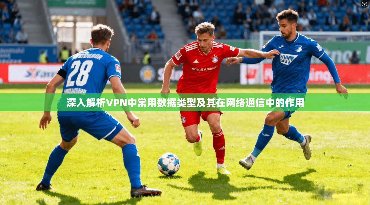 深入解析VPN中常用数据类型及其在网络通信中的作用