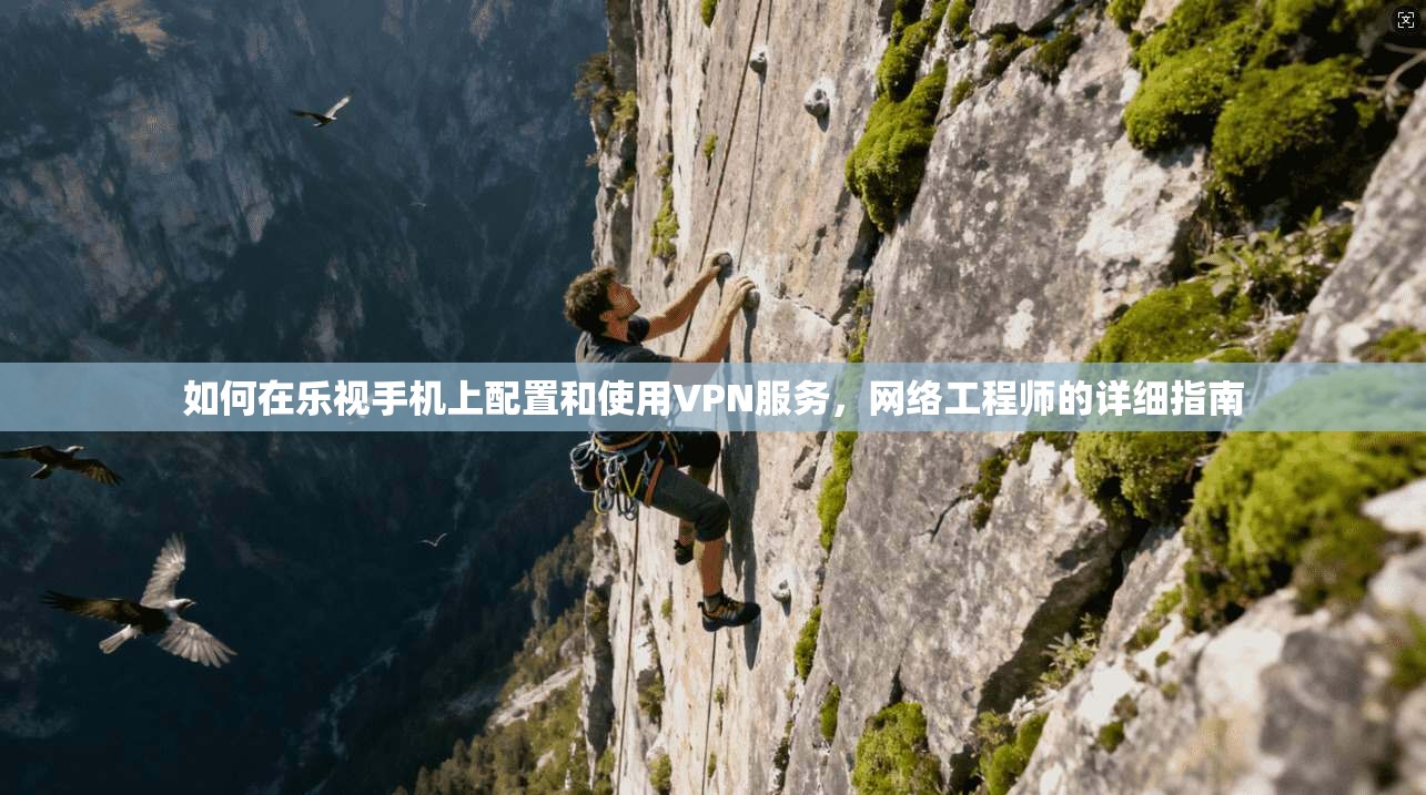如何在乐视手机上配置和使用VPN服务，网络工程师的详细指南