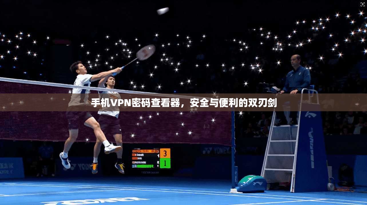 手机VPN密码查看器，安全与便利的双刃剑