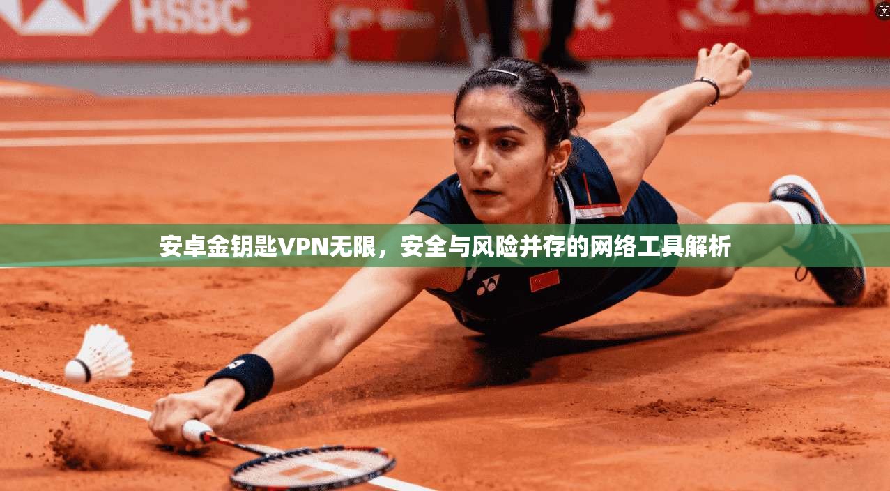安卓金钥匙VPN无限，安全与风险并存的网络工具解析