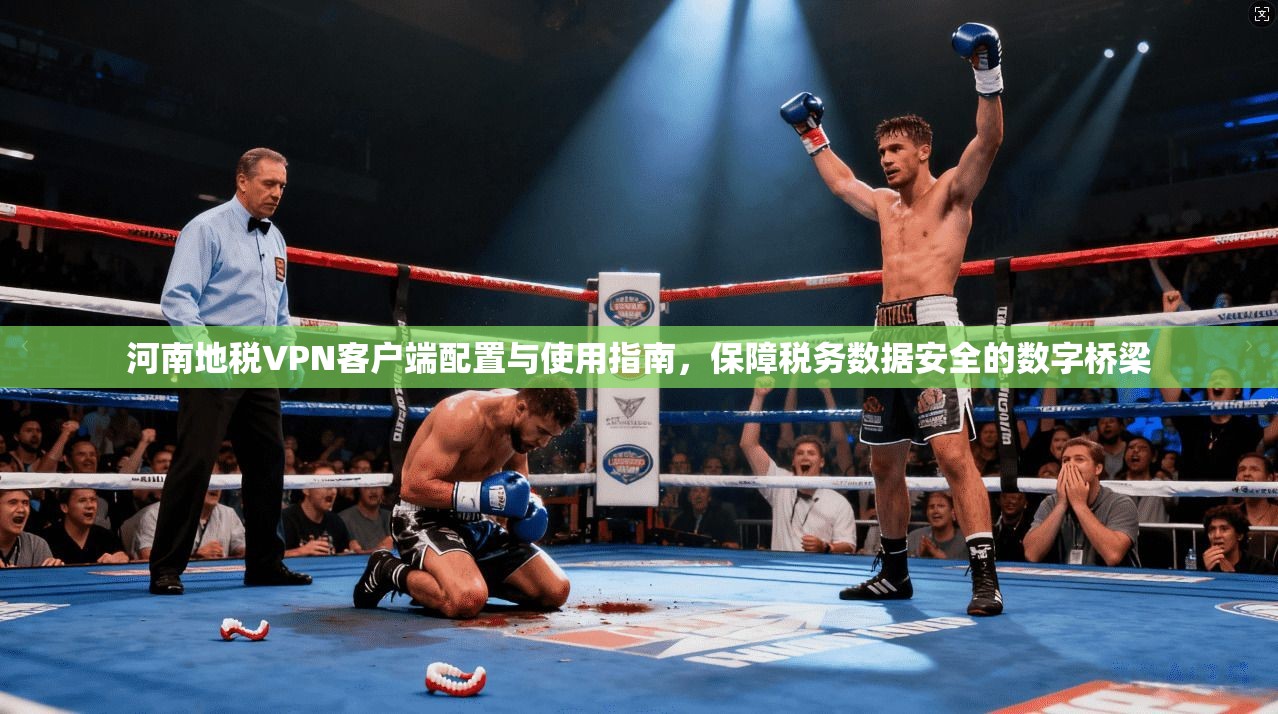 河南地税VPN客户端配置与使用指南，保障税务数据安全的数字桥梁