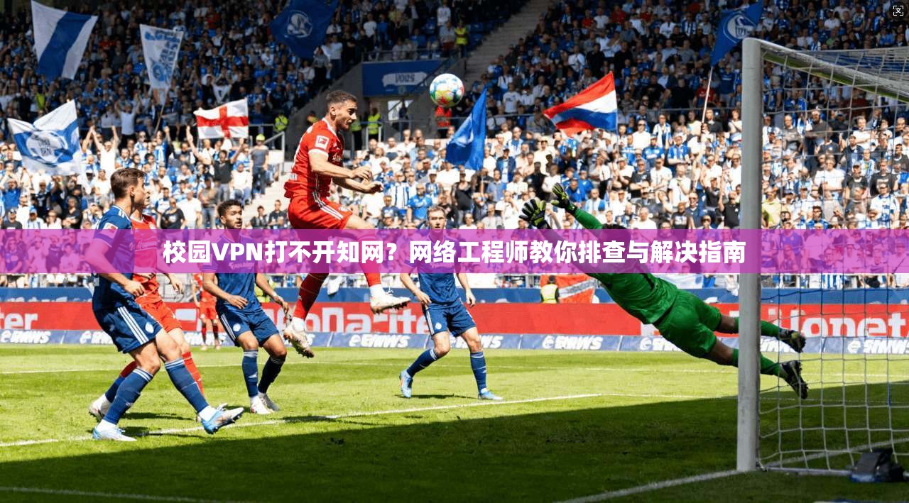 校园VPN打不开知网？网络工程师教你排查与解决指南