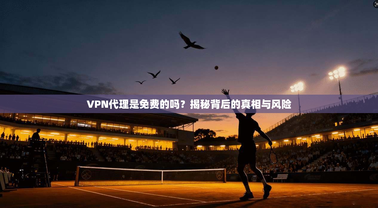 VPN代理是免费的吗？揭秘背后的真相与风险