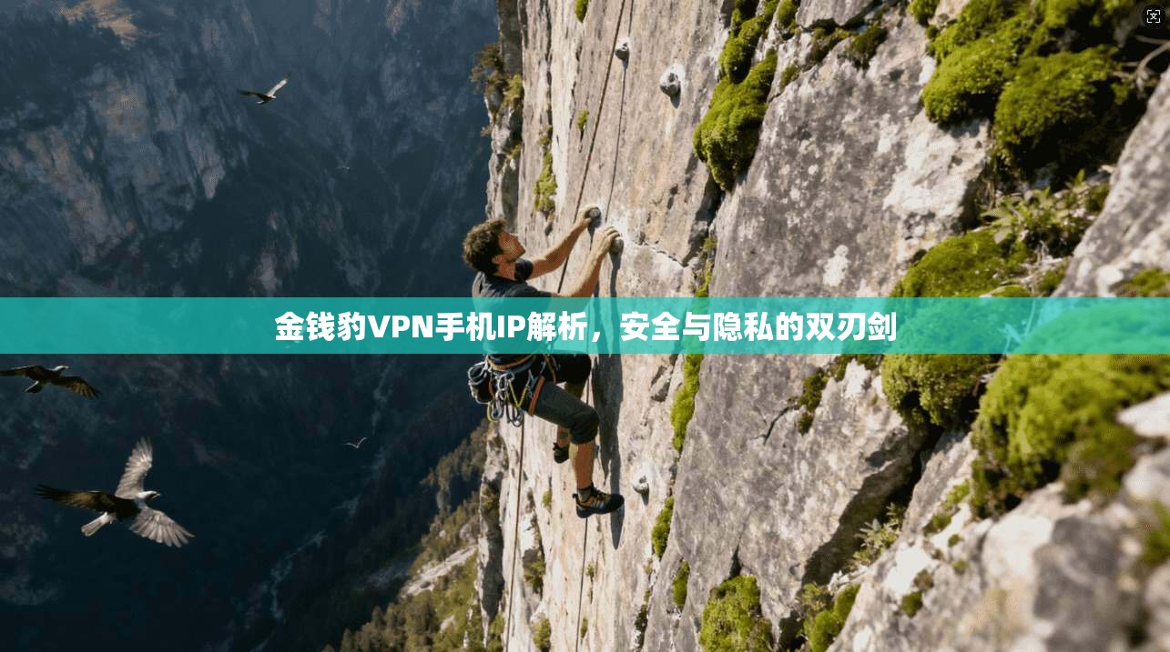 金钱豹VPN手机IP解析，安全与隐私的双刃剑