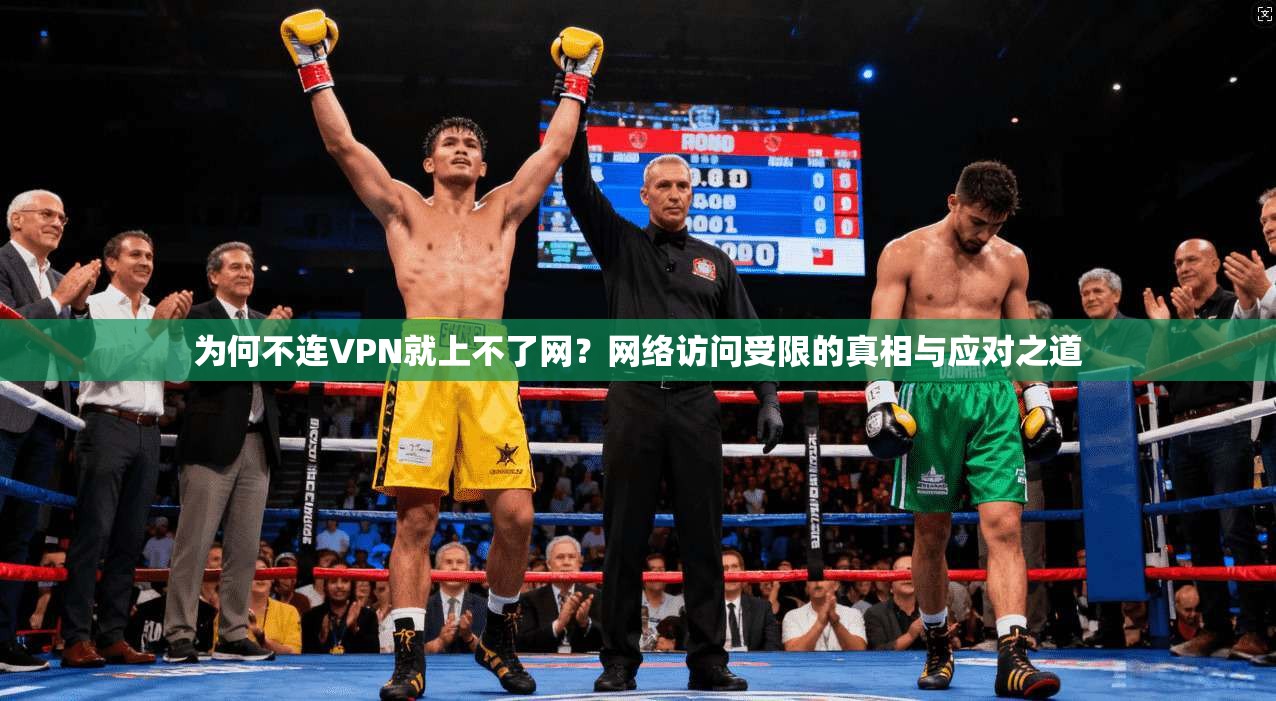 为何不连VPN就上不了网？网络访问受限的真相与应对之道