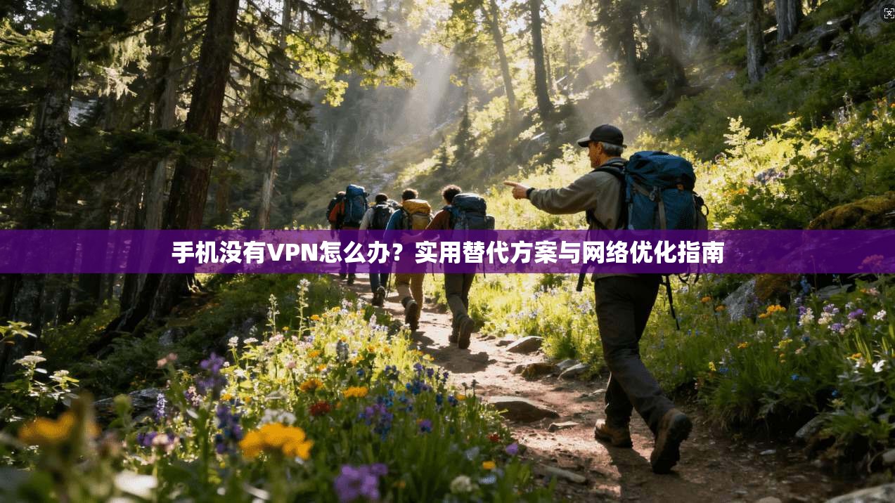 手机没有VPN怎么办？实用替代方案与网络优化指南