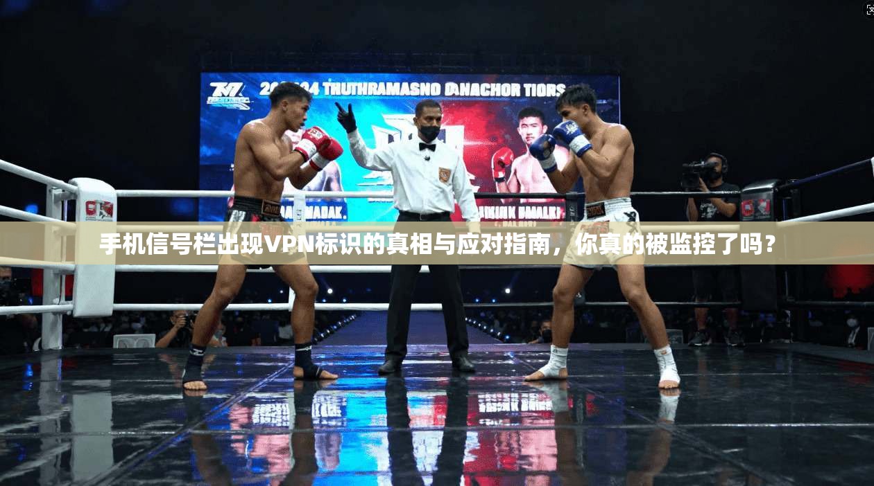 手机信号栏出现VPN标识的真相与应对指南，你真的被监控了吗？