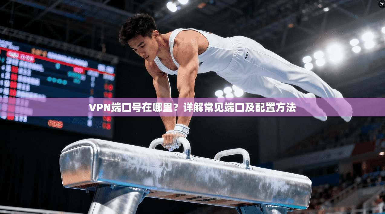 VPN端口号在哪里？详解常见端口及配置方法