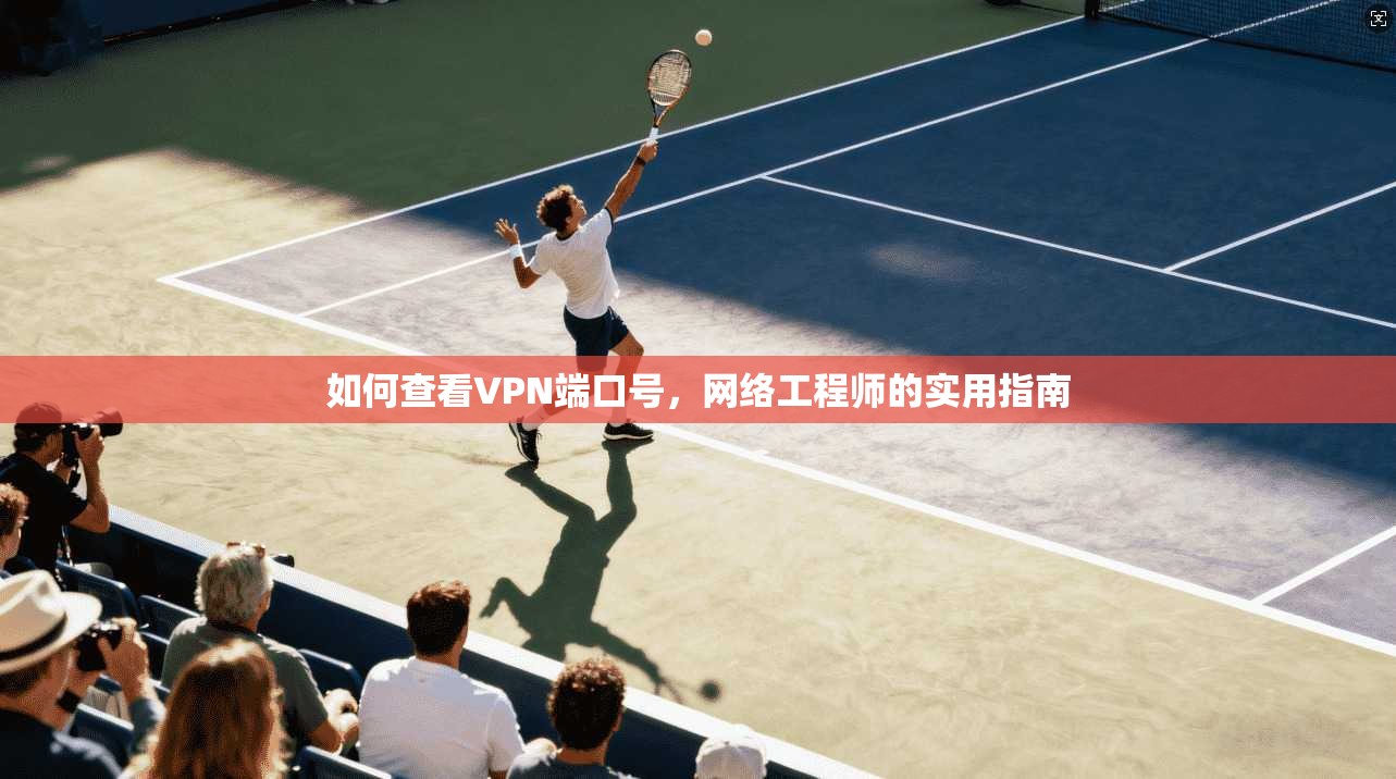 如何查看VPN端口号，网络工程师的实用指南