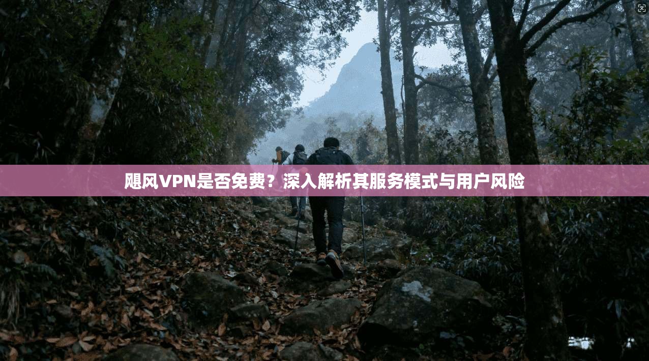 飓风VPN是否免费？深入解析其服务模式与用户风险