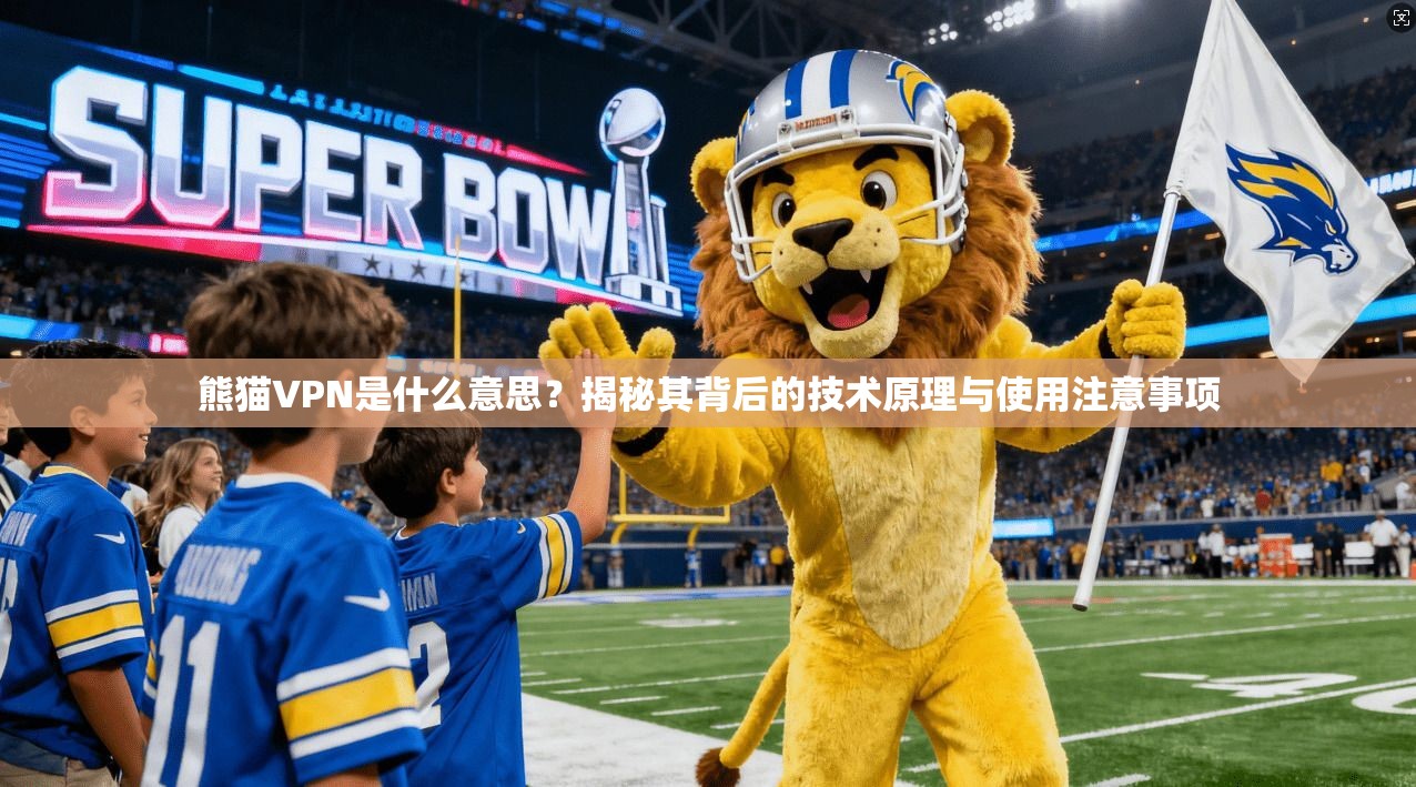 熊猫VPN是什么意思？揭秘其背后的技术原理与使用注意事项