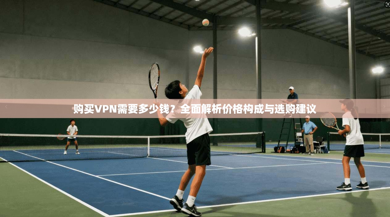 购买VPN需要多少钱？全面解析价格构成与选购建议