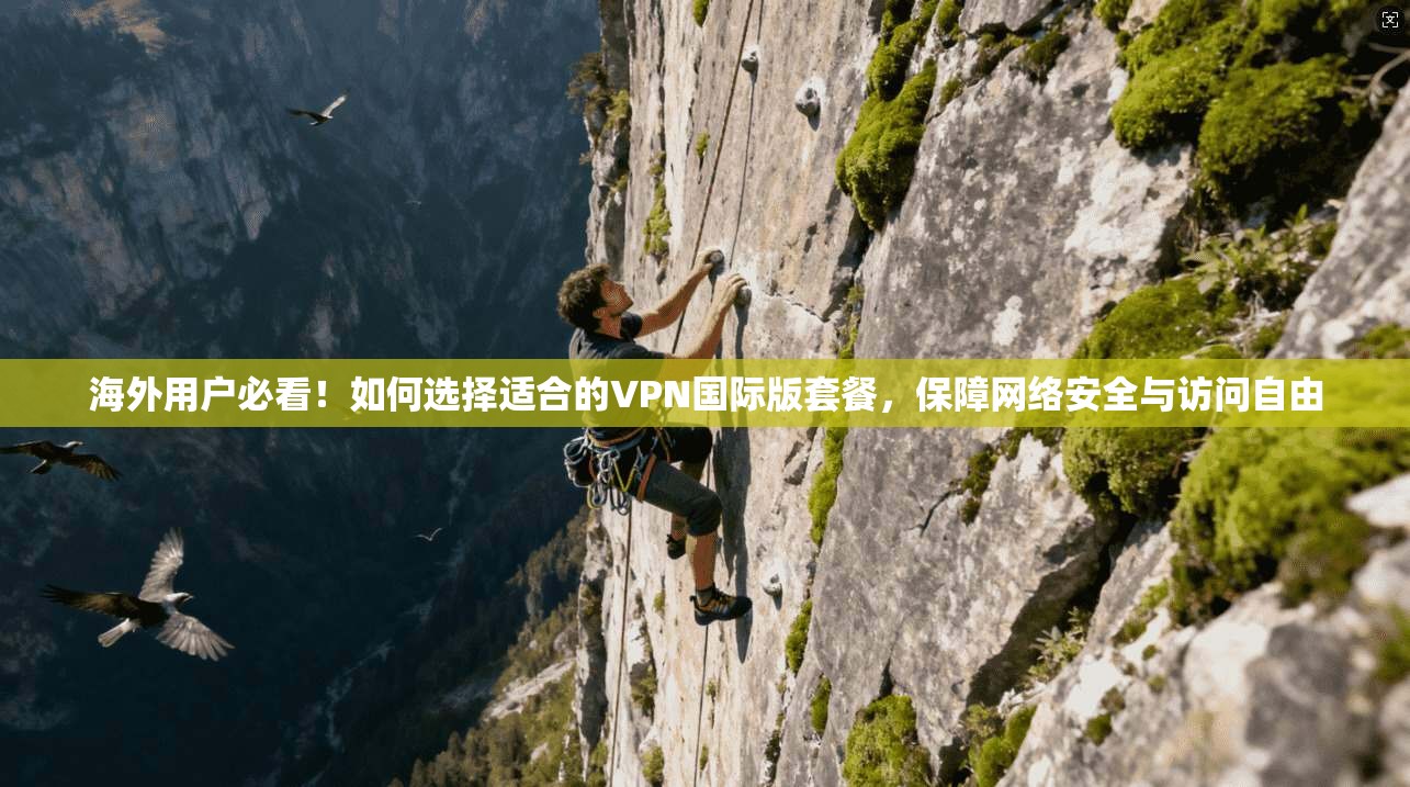 海外用户必看!如何选择适合的VPN国际版套餐,保障网络安全与访问自由 海外用户必看!如何选择适合的VPN国际版套餐,保障网络安全与访问自由