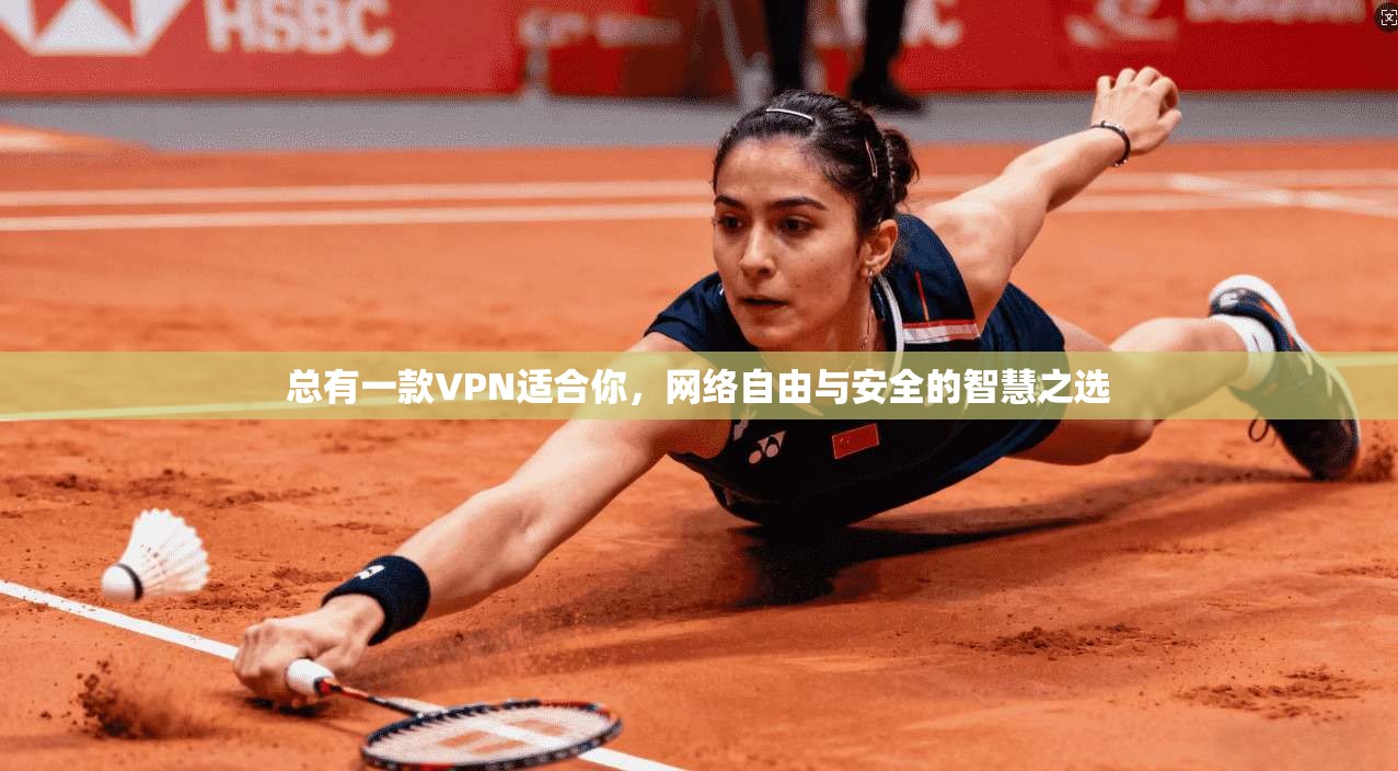 总有一款VPN适合你，网络自由与安全的智慧之选